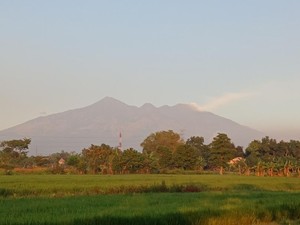 Update Karhutla Arjuno: Alas Lali Jiwo Terkendali, Masih Ada Titik Api