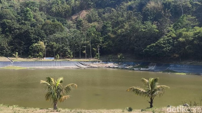 Kondisi Situ Padabeunghar yang mulai mengering