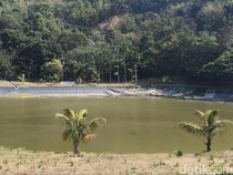 Krisis Air dan Setan Merah Ancam Kelestarian Situ Padabeunghar Kuningan