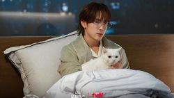 Potret Im Siwan di Drakor tvN Terbaru Love in Disguise