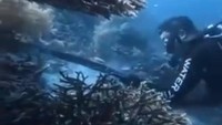 Tak Ada Toleransi buat WN China yang Panah dan Santap Penyu di Raja Ampat