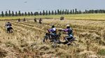 Serunya Balap Ojek Gabah di Lamongan