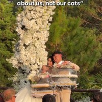 Viral Pernikahan Pecinta Anabul, Pengantin Bawa 4 Kucing ke Pelaminan