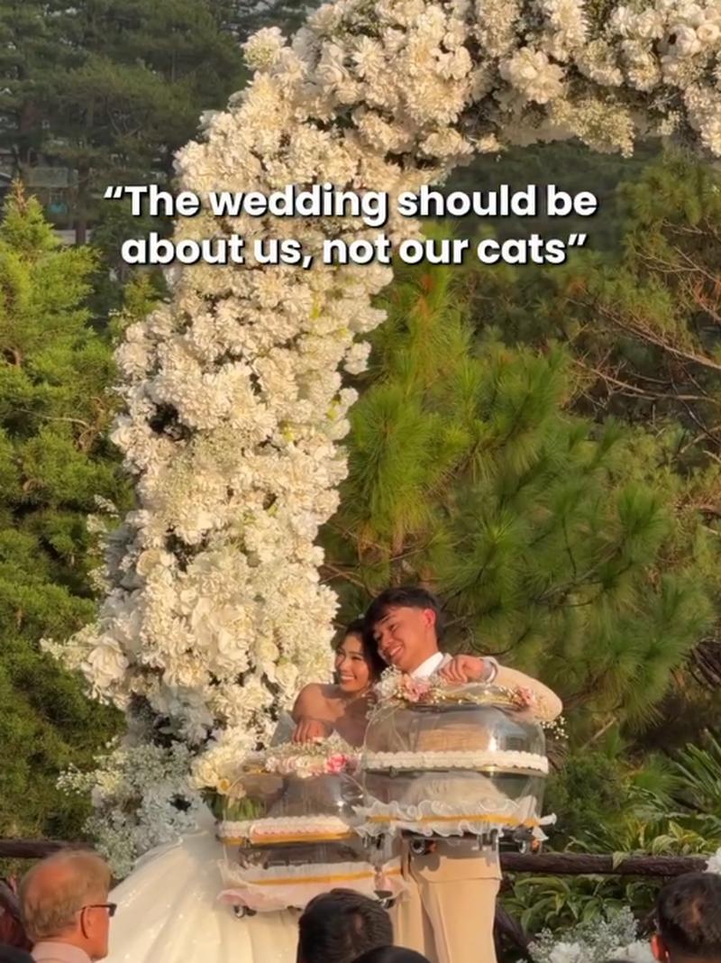 Viral Pernikahan Pecinta Anabul, Pengantin Bawa 4 Kucing ke Pelaminan
