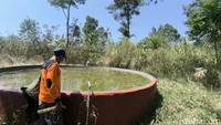 Mereka Membangun Benteng Pertahanan Melawan Api di Gunung Ciremai