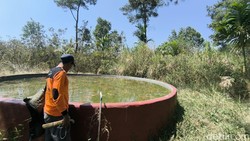 Mereka Membangun Benteng Pertahanan Melawan Api di Gunung Ciremai