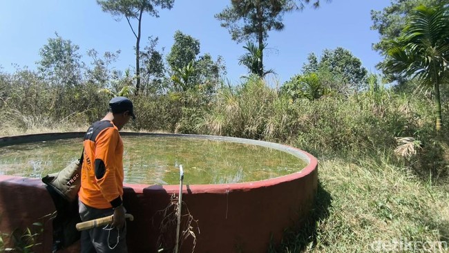 Mereka Membangun Benteng Pertahanan Melawan Api di Gunung Ciremai