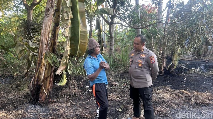 Polisi mendatangi lahan terbakar sebabkan pemilik kebun tewas di Kabupaten Pinrang, Sulawesi Selatan (Sulsel).