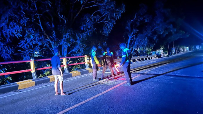Polisi olah TKP insiden wanita tewas terlindas truk di Jalan Trans Mamuju. Dokumen Istimewa
