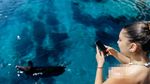 Jangan Kaget, Bisa Berenang di Pulau Atokos Bareng Babi Hutan