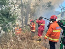 Karhutla di Jatim Hanguskan 9.540 Hektare Lahan