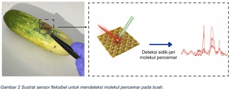 Sustrat sensor fleksibel untuk mendeteksi molekul pencemar pada buah. Sustrat sensor fleksibel untuk mendeteksi molekul pencemar pada buah.