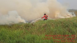 75 Kasus Karhutla di Jambi Diusut, 14 Orang Tersangka-Belum Ada Perusahaan