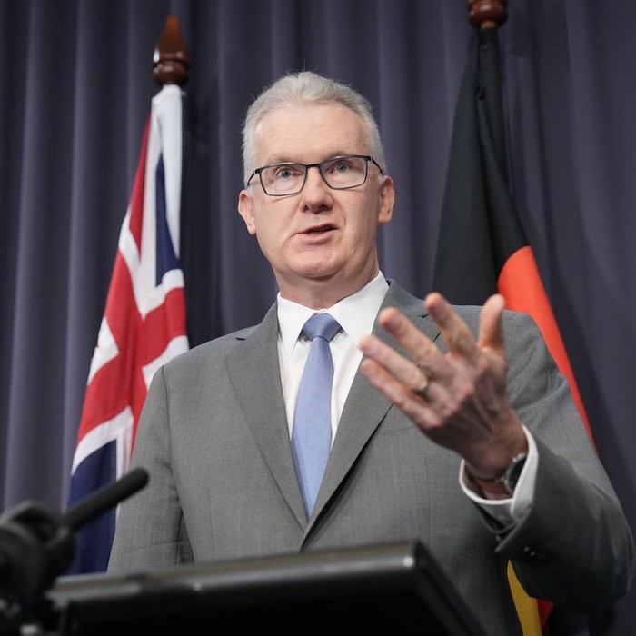 Tony Burke dijadwalkan memaparkan kebijakan migrasi Partai Buruh bulan lalu, namun menunda pidato tersebut (ABC News: Matt Roberts)
