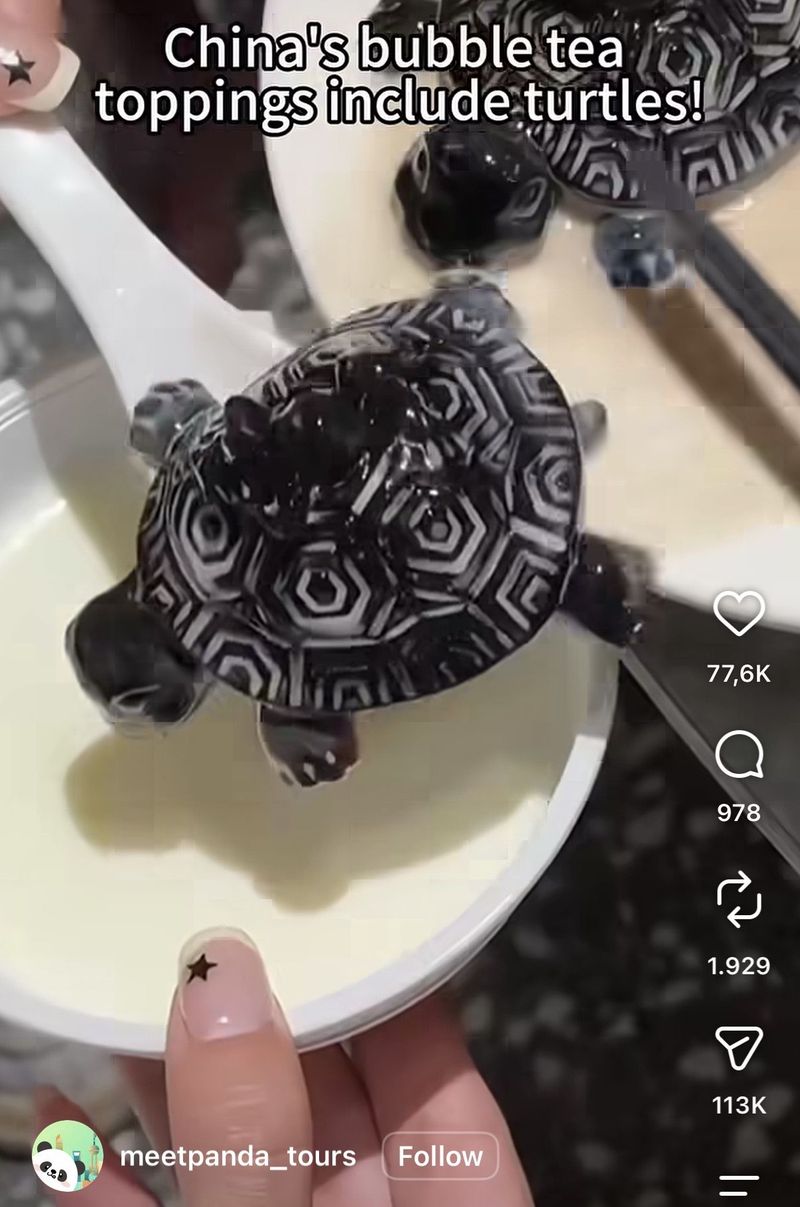 Bukan Boba, Ini Jeli Herbal China Bentuk Kura-Kura yang Unik