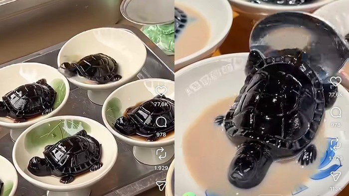 Bukan Boba, Ini Jeli Herbal China Bentuk Kura-Kura yang Unik