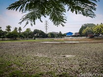 Danau Cinere Kering Lagi Imbas Kemarau, Tanah Retak-retak