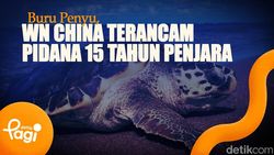 Video: Buru Penyu, WN China Terancam Pidana 15 Tahun Penjara