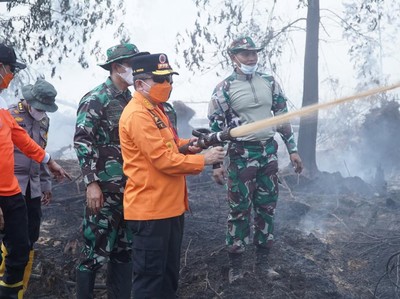 Kawasan Hutan Lindung Londerang di Jambi Kembali Terbakar