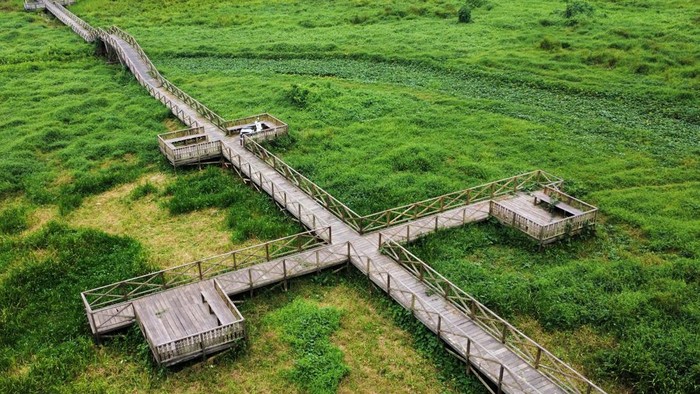 Foto udara gulma atau tanaman liar memenuhi Waduk Manggar di kawasan Wisata Meranti, Balikpapan, Kalimantan Timur, Rabu (16/9/2026). Tumbuhnya gulma di waduk seluas 500 hektare itu mengakibatkan perahu wisata sulit melintas sehingga berdampak pada hilangnya pendapatan sektor pariwisata warga sekitar serta menyebabkan pendangkalan dan kurangnya pasokan air baku untuk saluran irigasi di wilayah sekitar. ANTARA FOTO/Angga Palguna/rwa.