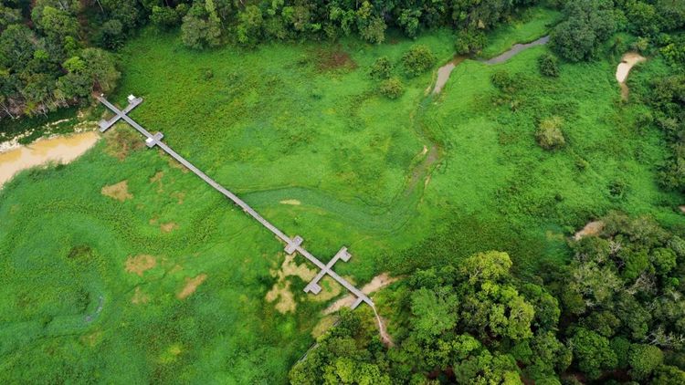 Gulma Penuhi Waduk Manggar, Perahu Wisata Sulit Melintas