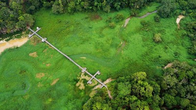 Gulma Penuhi Waduk Manggar, Perahu Wisata Sulit Melintas