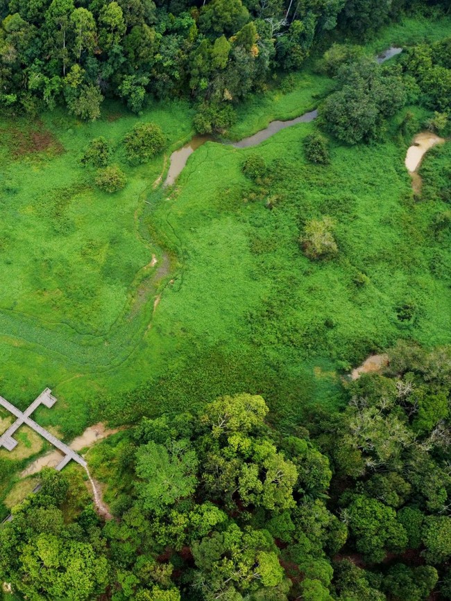 Gulma Penuhi Waduk Manggar, Perahu Wisata Sulit Melintas