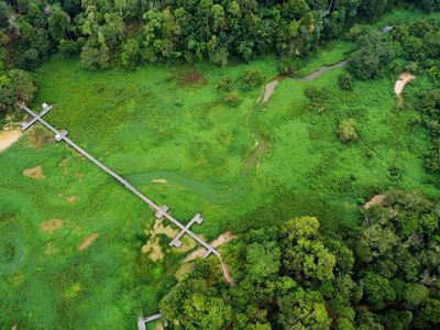 Foto udara gulma atau tanaman liar memenuhi Waduk Manggar di kawasan Wisata Meranti, Balikpapan, Kalimantan Timur, Rabu (16/9/2026). Tumbuhnya gulma di waduk seluas 500 hektare itu mengakibatkan perahu wisata sulit melintas sehingga berdampak pada hi