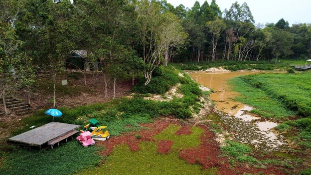 Gulma memenuhi waduk Manggar Foto udara gulma atau tanaman liar memenuhi Waduk Manggar di kawasan Wisata Meranti, Balikpapan, Kalimantan Timur, Rabu (16/9/2026). Tumbuhnya gulma di waduk seluas 500 hektare itu mengakibatkan perahu wisata sulit melintas sehingga berdampak pada hilangnya pendapatan sektor pariwisata warga sekitar serta menyebabkan pendangkalan dan kurangnya pasokan air baku untuk saluran irigasi di wilayah sekitar. ANTARA FOTO/Angga Palguna/rwa.