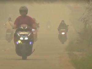 Bukan Filter! Begini Penampakan Kabut Asap di Kalimantan