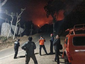 Kebakaran Gunung Wilis di Nganjuk Tinggal 2 Titik