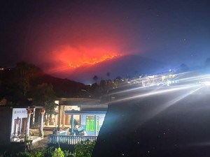 Fakta-fakta Kebakaran di Puncak Gunung Wilis Bikin Petugas-Warga Siaga