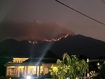 Puncak Gunung Wilis Jatim Kebakaran