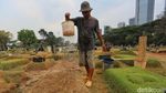 Kemarau Panjang, Rumput Makam di Menteng Pulo Mulai Menguning