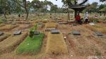 Kemarau Panjang, Rumput Makam di Menteng Pulo Mulai Menguning
