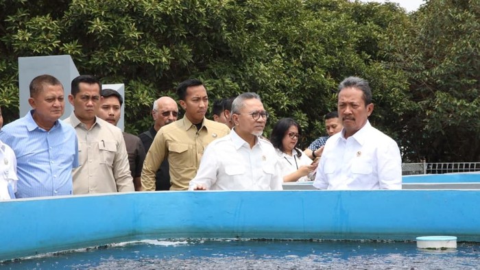 Kemenko Pangan