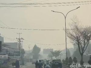 11 Daerah di Jambi Terdampak Asap Karhutla, Ini Tanggapan Al Haris