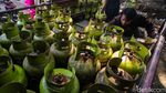 Penyaluran LPG 3 Kg Bakal Diatur Berdasarkan Desil