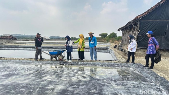 Petambak garam di Lamongan