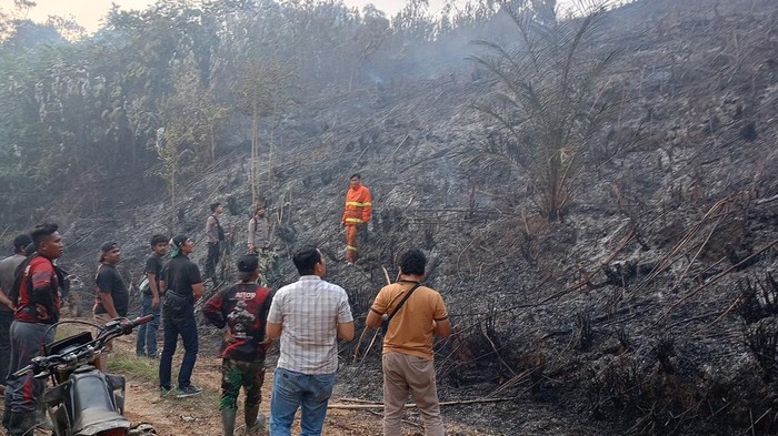 Petugas saat mengakses lokasi kebakaran di area PT Jebus Maju, Merangin, Jambi