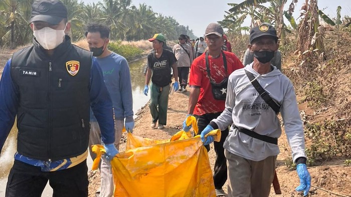 Polisi saat mengevakuasi temuan kerangka mayat di Pesisir Tanjabtim, Jambi