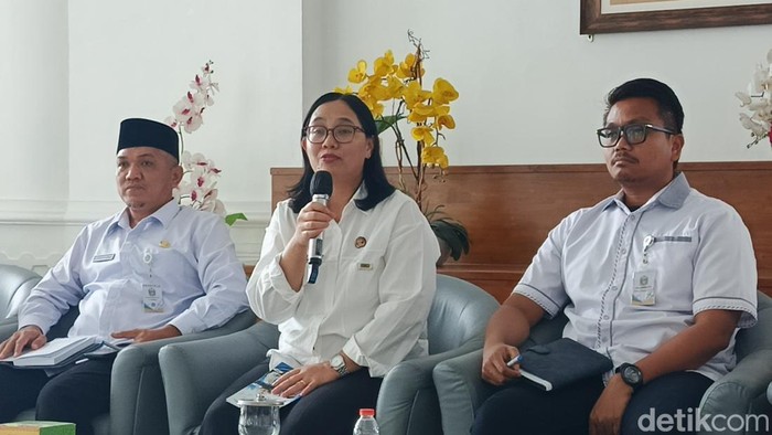 Sekretaris Dinas Pendidikan Sumut Terang Dewi Susantri Ujung (Nizar Aldi/detikSumut)