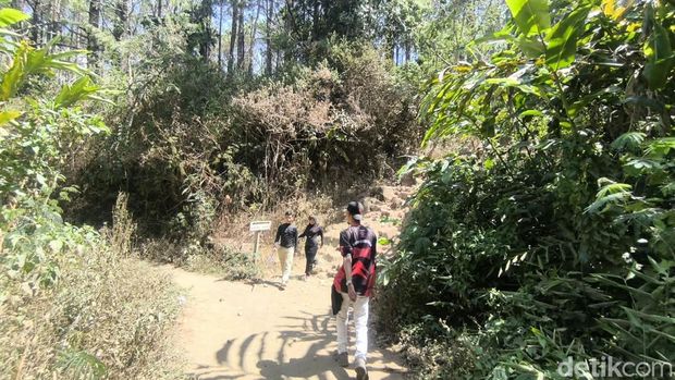 Suasana jalur pendakian Gunung Ciremai Pos 1  Cigowong
