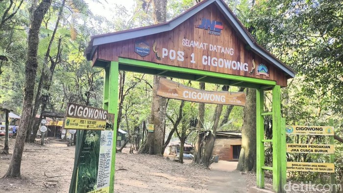 Suasana jalur pendakian Gunung Ciremai Pos 1  Cigowong
