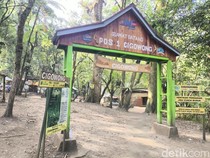 Sensasi Mendaki Tipis-Tipis di Pos 1 Cigowong Gunung Ciremai