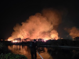 Kebakaran Lahan 10 Hektare di Semarang Utara Ternyata Ulah Pemancing Mabuk