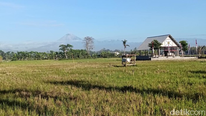 Gunung Semeru erupsi