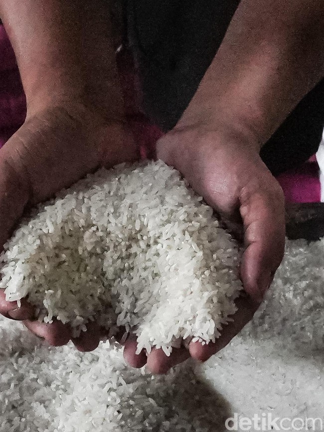 Kemarau Bikin Pasokan Seret, Harga Beras Mulai Naik