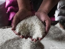 Kemarau Bikin Pasokan Seret, Harga Beras Mulai Naik