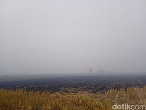 Komisi IV DPR Dukung Badan Pengelola Gambut, Dorong Sinkronisasi Anggaran